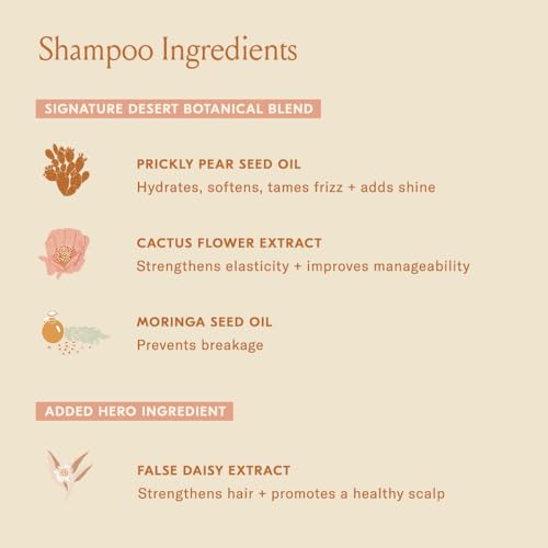 DAE Signature Duo Shampoo & Conditioner Set