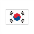 30 Sheets South Korea Flag Temporary Tattoos Fans Face Tattoo Stickers for Adults Kids Group Activity Props