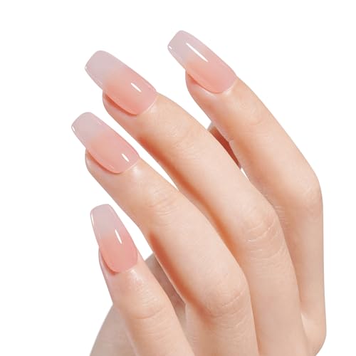 AILLSA Translucent Jelly Dip Powder - Salmon Pink Nude DIY Nail Powder (30g)