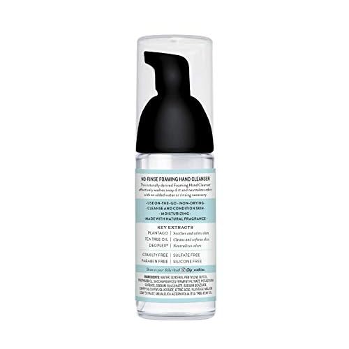 J.R. Watkins No-Rinse Foaming Hand Cleanser ? Hand Soap in Pump Dispenser ? Bathroom & Kitchen Foam Cleaner ? All Natural, Alcohol Free, Unscented, 1.6 fl. Oz., Single