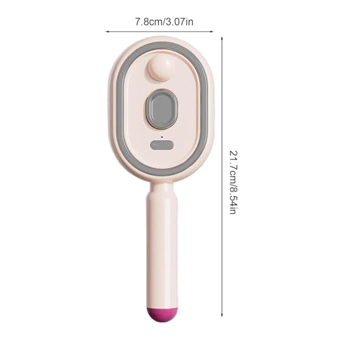 Pink Rechargeable Spray Detangling Hair Brush with Oil Diffuser & Measuring Cup
