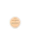 Aveda Control Paste Hair Pomade
