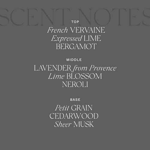 Antica Farmacista Body Moisturizer - Scented Moisturizing Lotion with Aloe Vera, Green Tea & Sweet Almond Oil - Luxury Gift for Any Occasion - Lavender & Lime Blossom, 10 fl oz