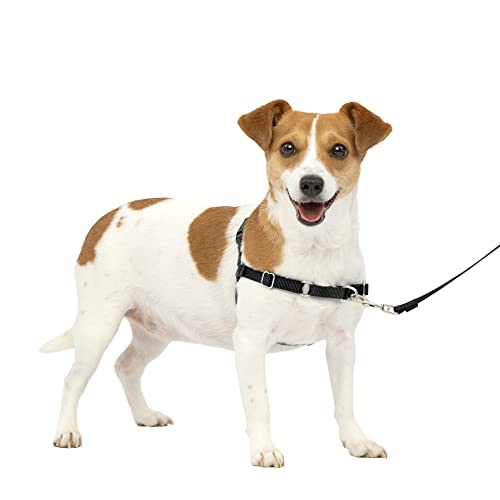 PetSafe Easy Walk No-Pull Dog Harness - The Ultimate Harness to Help Stop Pulling - Take Control & Teach Better Leash Manners - Helps Prevent Pets Pulling on Walks, Small, Charcoal/Black