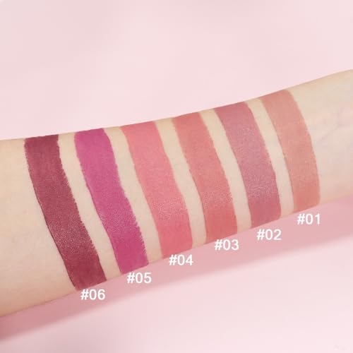 Matte Lipstick Set - 6 Long Lasting Nude Pink Purple Red Shades