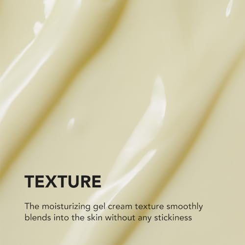 [SKIN&LAB] Wrinkle and Pore Care Skincare Set: Includes Retinol Roller Cream and Niacinamide Serum