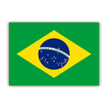 Womaha 30 Sheets Brazil Temporary Tattoos for Kids Football Temporary Face Tattoos¡¦