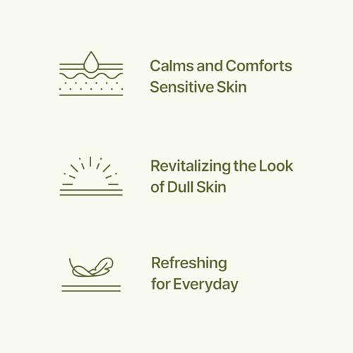 ACCOJE Reviving Cica Soothing Hydrating Gel-Serum ? Korean Skincare with Jeju Island Plant Extract Complex for Calm, Radiant and Healthy-Looking Skin (1.69 fl. oz)
