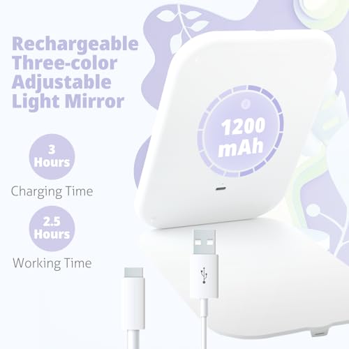 Portable Rechargeable Makeup Mirror with LED Lights