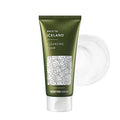 THANKYOU FARMER Back To Iceland Cleansing Foam 4.22oz