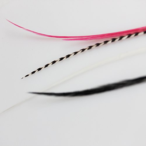 Feather Hair Extensions 8-11" Red Black White Grizzly 5 Pack