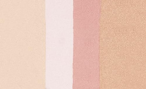 Wet n Wild MegaGlo Illuminating Blush Palette, Catwalk Pink (Pack of 2)