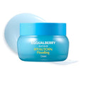 EQQUALBERRY Hyaluronic Acid & Glacier Water Hydrating Gel Cream 50ml
