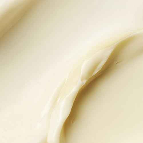 VOESH Vegan Hand Balm Fig & Amber 1 oz ? K-Beauty Korean Skincare Hand Cream for Dry Hands ? Non-Greasy Fast-Absorbing Moisturizer with Turmeric Mango Butter and Squalane ? Travel Size