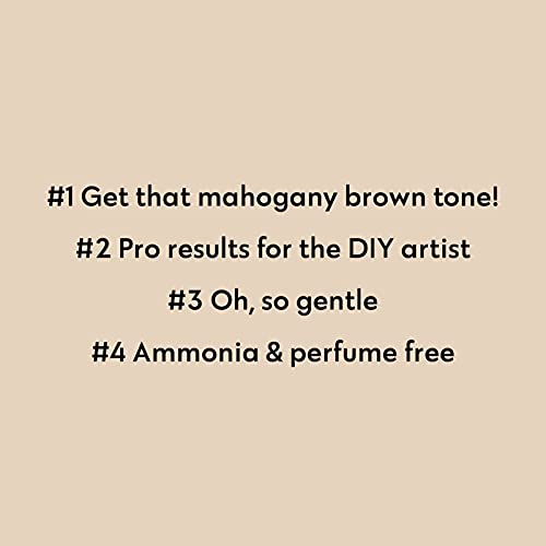 FOUR REASONS Cherry Tree 5.52 Demi Permanent Hair Color Kit - Natural Reddish Brown