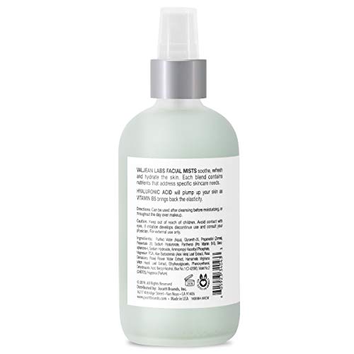 Valjean Labs Face Mist - Hydrate | Hyaluronic Acid + Vitamin B5 | Helps to Hydrate and Plump Skin and Restore Elasticity | Paraben Free, Cruelty Free, Made in USA (4 oz)