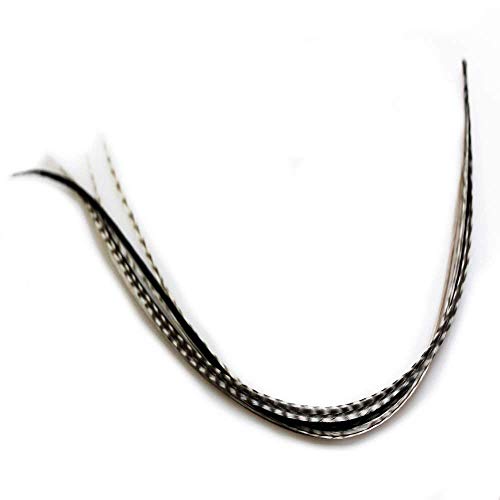 Feather Hair Extensions 4-7" Black & White Rooster Salon Quality