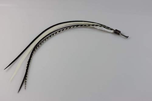 Feather Hair Extensions 4-7" Black & White Rooster Salon Quality