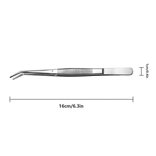 Stainless Steel Curved Tweezers with Serrated Tip (2-Piece Set)