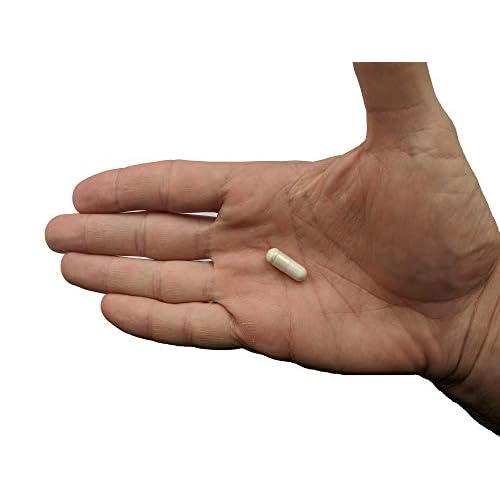 Premium Probiotic plus Ultimate Prebiotic - Gut Biome Builder & Restoration - 4.4 Bn CFU - Best for Women & Men - Bacteria Reaches Intestine within Hours - No Refrigeration - Bacillus Subtilis
