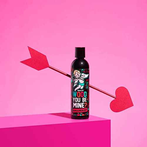 Ballsy Ballwash Wood You Be Mine Charcoal Body Wash for Men, Soap, Moisturizing, Shower Gel, w/Coconut Oil and Aloe Vera, Drift & Dunes Scent, 8 Fl oz