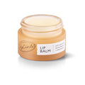 UpCircle Lip Balm with Hemp Seed Oil + Shea Butter 15ml ? Hydrating + Plumping ? Rosehip + Grapefruit Oil To Soothe Dry Lips - Natural, Vegan + Cruelty-Free