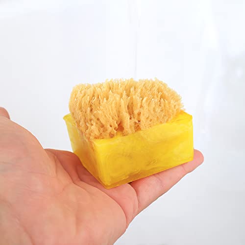 Primal Elements Tahitian Vanilla SpongeBar Soap (Pack of 2)