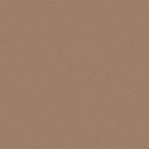 COVERGIRL - Easy Breezy Brow Powder Kit, three shades brow definer, professional double-ended angled brush, effortless, 100% Cruelty-Free