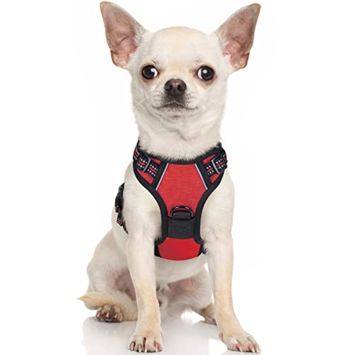 rabbitgoo Dog Harness, No-Pull Pet Harness with 2 Leash Clips, Adjustable Soft Padded Dog Vest, Reflective No-Choke Pet Oxford Vest with Easy Control Handle for Small Dogs, Red,XS