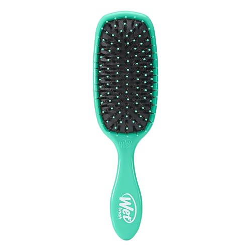 Wet Brush Shine Enhancer Aqua - Pack of 1 Natural Boar & IntelliFlex Brush