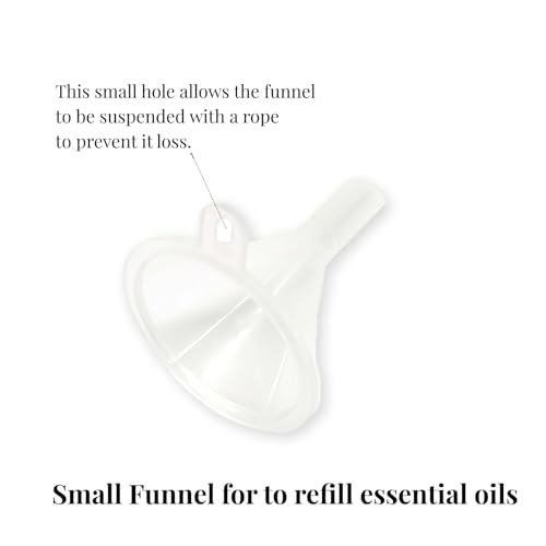 Empty Bottles for Essential Oils 20ml Small Glass Bottles (2Bottle 6Filters)