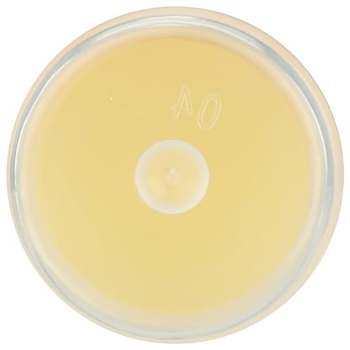 ECO LIPS Organic Mongo Kiss Vanilla Honey Lip Balm, 0.25 OZ