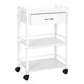 Salon Trolley Cart with Wheels - Beauty Supply Storage
