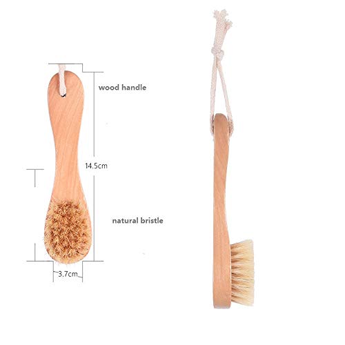 Natural Bristle Facial Brush with Wooden Handle (Pack of 2)