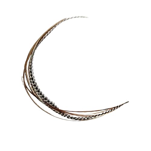 Feather Hair Extensions 6-Pack 4"-7" Ginger Beads