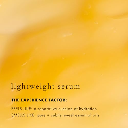 Bioelements Lip Clinic Hydrating Serum - 0.33 fl oz - Moisturize & Hydrate with Shea Butter & Squalane - Vegan, Gluten Free - Never Tested on Animals