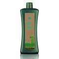 Salerm Cosmetics Biokera Natura Shampoo Specific Grease ? 1000 ml