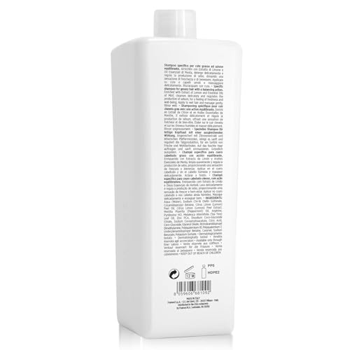 Framesi Morphosis Restructure Shampoo for Damaged Hair