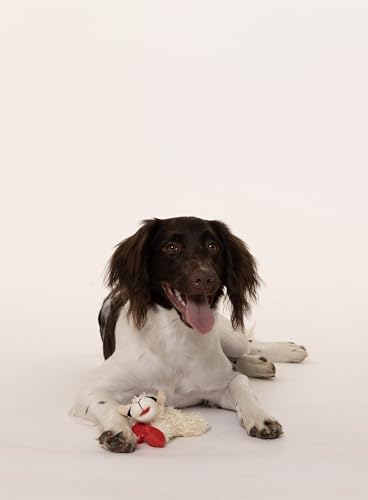 Multipet INTERNATIONAL 843140 Lambchop Plush Squeak Toy Mini for Pets, 6-Inch, White, small