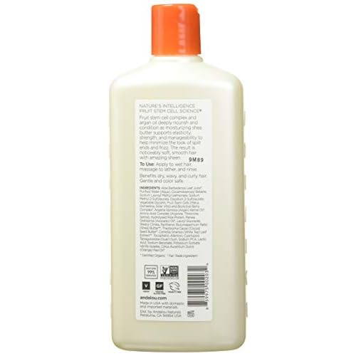 Andalou Naturals Argan Oil & Shea Moisture Rich Shampoo, Orange, 11.5 Ounce