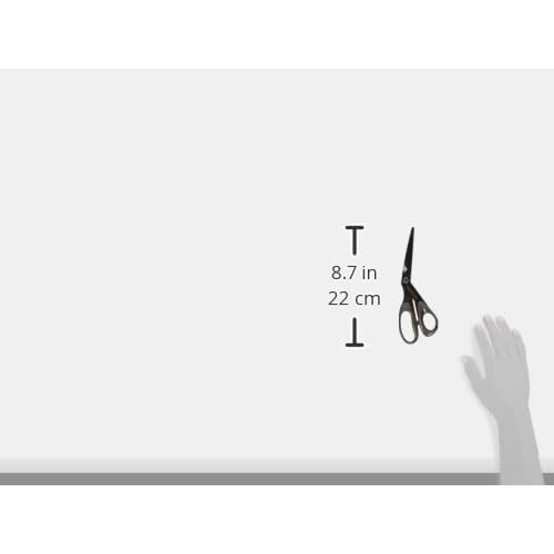 3B Scientific Coated Kinesiology Scissors