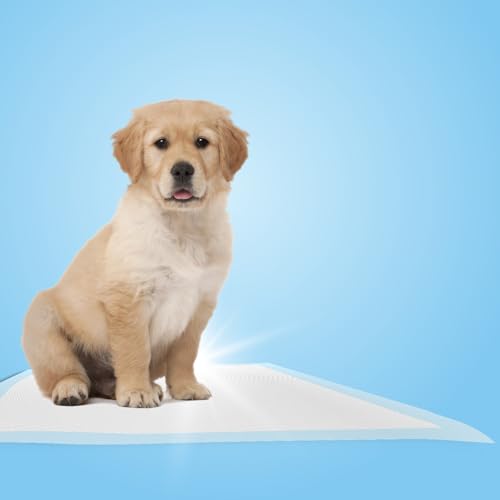 Chucks Pads Disposable 30x36 Underpads [50-Pack] Incontinence Chux Pads Absorbent Fluff Protective Bed Pads - Extra Large Pee Pads for Kids, Adults & Elderly | Leak Proof Puppy Pads for Training - XXL