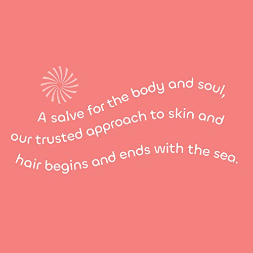 Seaweed Bath Co. Heat Care Shampoo, Lime Papaya Scent, 12 Ounce, Sustainably Harvested Seaweed, Sea Buckthorn, Kakadu Plum, For Heat Damaged Hair