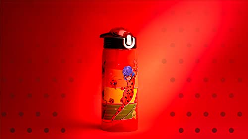 Zak Designs Miraculous Ladybug Water Bottle For School or Travel, 25 oz Durable Plastic Water Bottle With Straw, Handle, and Leak-Proof, Pop-Up Spout Cover