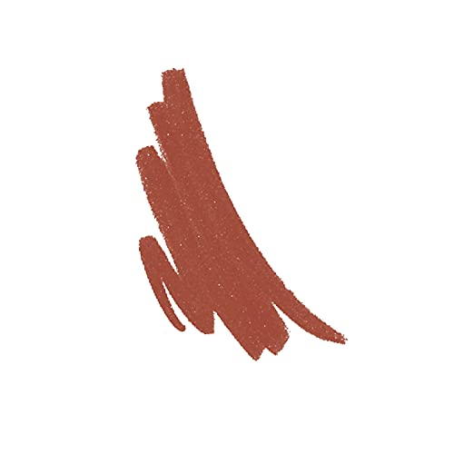 Rimmel Lasting Finish Lip Liner, Spice | 8HR | 110 | Pack of 2
