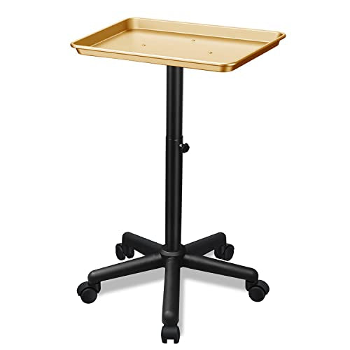 Golden Salon Adjustable Height Aluminum Rolling Tray for Hair & Tattoo Professionals (Golden)