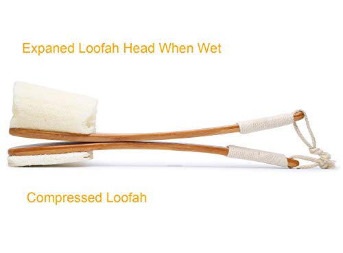 Leotruny 100% Natural Exfoliating Loofah with 17in Arc Long Handle - 1 Pack