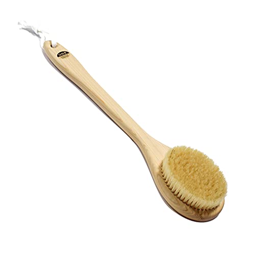 Body Brush, Long Handle 14 inches, Boar Bristles, Japanese Hinoki Tree Wooden Handle