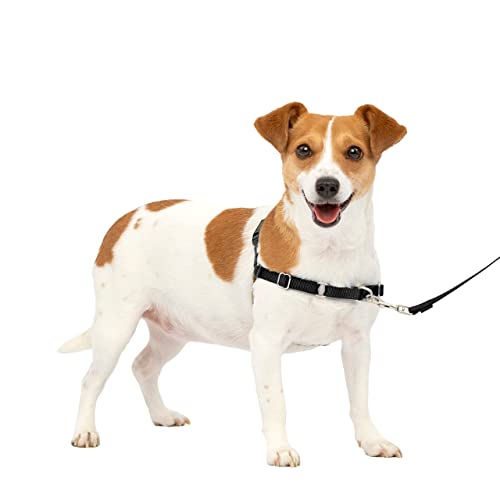 PetSafe Easy Walk No-Pull Dog Harness - The Ultimate Harness to Help Stop Pulling - Take Control & Teach Better Leash Manners - Helps Prevent Pets Pulling on Walks, Small, Black/Silver