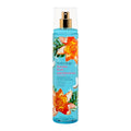 Bodycology Hawaiian Beach Fragrance Body Mist 8 fl oz – Tropical Coconut & Pineapple